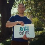 Mike Posner - I Went Back To Ibiza (Leonhardt Remix)