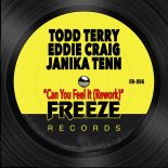 Todd Terry, CLS, Janika Tenn, Eddie Craig - Can You Feel It (Rework) (Extended)