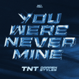 TNT, Darren Styles, Technoboy & Tuneboy - You Were Never Mine (Extended Mix)