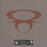 AFROJACK, Lucas & Steve - Control (Extended Mix)