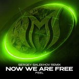 Feel - Now We Are Free (Sergey Salekhov Extended Remix)