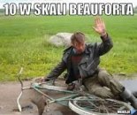 DJHooKeR vs AI - 10 w skali beauforta (VER1)