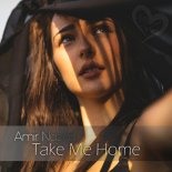 Amir Nazari - Take Me Home (Original Mix)