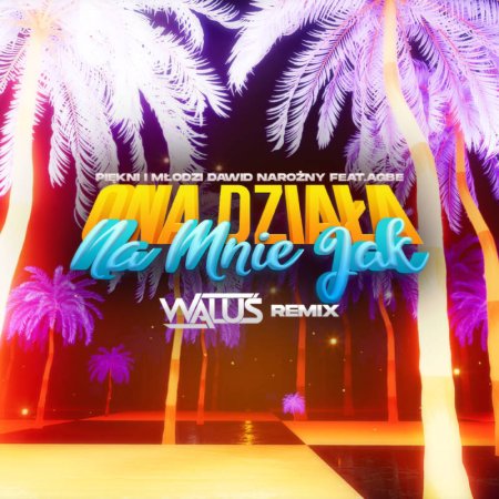 Piękni i Młodzi Dawid Narożny feat AGBE- Ona działa na mnie jak (WALUŚ Remix) 2023