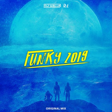 PECYN  & DJ WALUŚ - Funky 2019  (Original Mix)