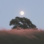 Kurt Adler & Sophie G - Sweetest Goodbye