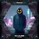Ixan Boy & Scantraxx - So Dumb (Extended Mix)