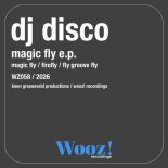 DJ Disco (NL) - Fly Groove Fly (Extended Mix)