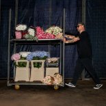 Damian Sikorski Projekt - Dziekuje