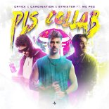 Cryex & Cardination & Strixter Feat. MC Pez - PLS COLLAB (Extended Mix)