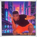 Bushman - Lost In Love (Poco Loco) (2026)