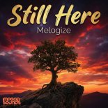 Melogize - Still Here
