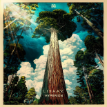 LIBAAX - Storm (Original Mix)