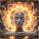 Transpose (CA) - Experience Clarity (Original Mix)