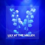 Boris Brejcha - Lily At The Valley (Extended Mix)