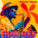 David Moss - How Gee (Radio Edit)