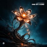 LOSTMYFAITH - One of a Kind (Extended Mix)