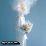 Voyage Music - Princess of the Night