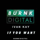 Ivan Kay - If you want (Original Mix)