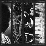 Donkey Rollers  - The Sound Of The Beast (Kruelty Edit)