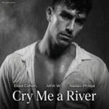 John W, Eliad Cohen, Nadav Philips - Cry Me A River (Extended Mix)