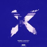 Bobby Harvey - Never Enough