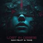 Sam Feldt & Tame - Lost In Desire (Extended Mix)