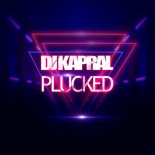 Dj Kapral - Plucked
