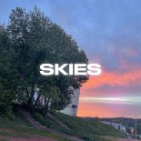 Rendow & Alfredovich - Skies